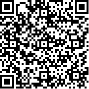 高加索停车场中文版(Caucasus Parking)