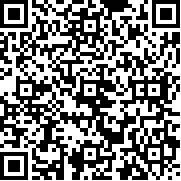 最后的忍者手机版