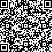 暗影之剑中文版