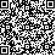 回忆之谜中文版