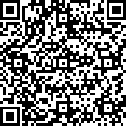 战斗砖块剧场手机版