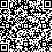 涂鸦旗帜中文版