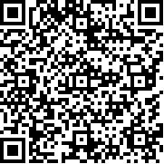 疯狂像素人国际服