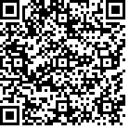 口袋妖怪白2手机版