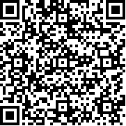 熊大的午夜后宫