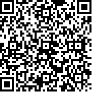 炮弹小分队中文版