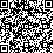 战斗陀螺游戏中文版