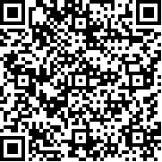 王者大对决小游戏