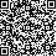 俄罗斯乡村模拟器手机版