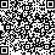 口袋妖怪洛克欢乐版