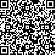 雪人兄弟怀旧单机游戏