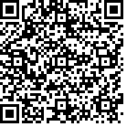 坠落生存中文版