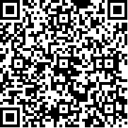 幻象忍者中文版