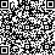 玩具指挥官汉化版