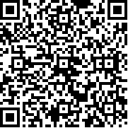 不休小队单机版