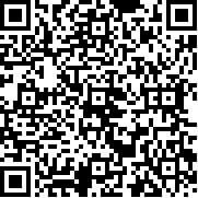 omsi2手机版
