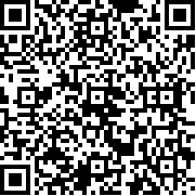 双人成行迷你版