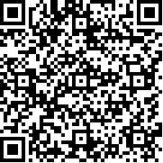 ES卡车模拟器汉化版