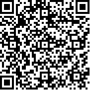 闪翼双星手机版