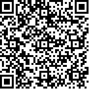 鸣人的假期安卓版