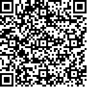 蝙蝠侠黑暗骑士崛起手游