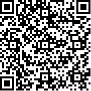 口袋妖怪极夜永昼无相手机版