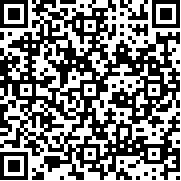 口袋少女2汉化版