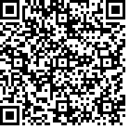 口袋妖怪黑2中文版