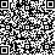 nos汽车中文版