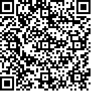 项目漂移2.0中文版