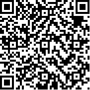 乱世之王2中文版