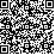 光影骑士手机版