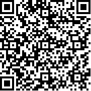 卡车模拟器2D