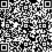 奇怪的大冒险完整版