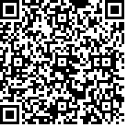 PvZh版