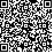 神偷鲍勃3汉化版