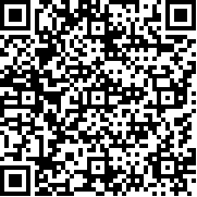 工艺世界圣诞版中文版