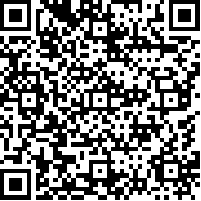 波克埃克大冒险中文版