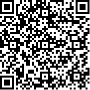 二次元之光手游