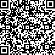 像素科技甘泉联机Hin2n