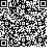 狂怒火柴人中文版