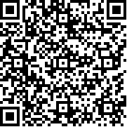 剑客少年汉化版