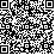 马桶人城市大战