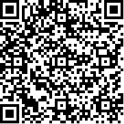 斯伦德里娜之谜