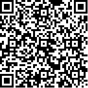 隐形守护者手游