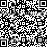 崩溃制造中文版