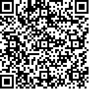 最终幻想永恒危机