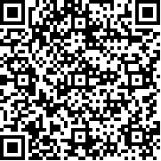 布娃娃对战大师