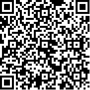 机动战队大作战官网版