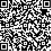 索尼大冒险手机版